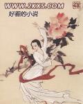 王朝崛起