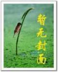 超級淘寶係統