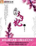 極品太子妃